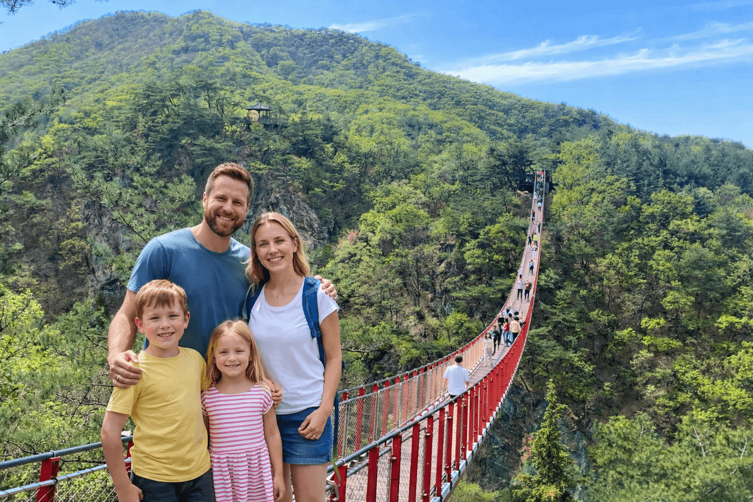 DMZ Private Tour (Optional: Suspension Bridge)