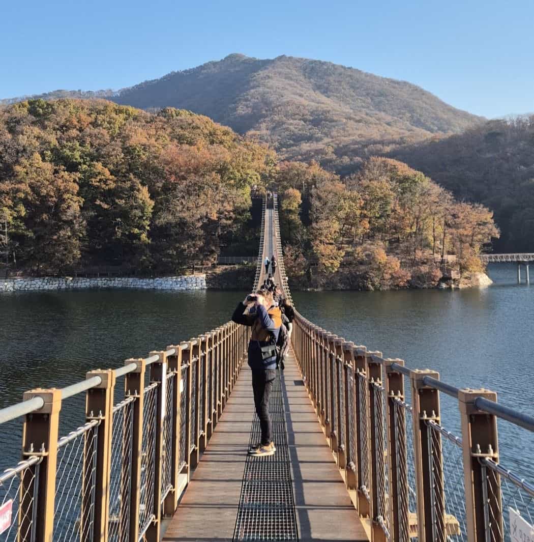 DMZ Tour with Majang Lake Suspension Bridge - Gallery