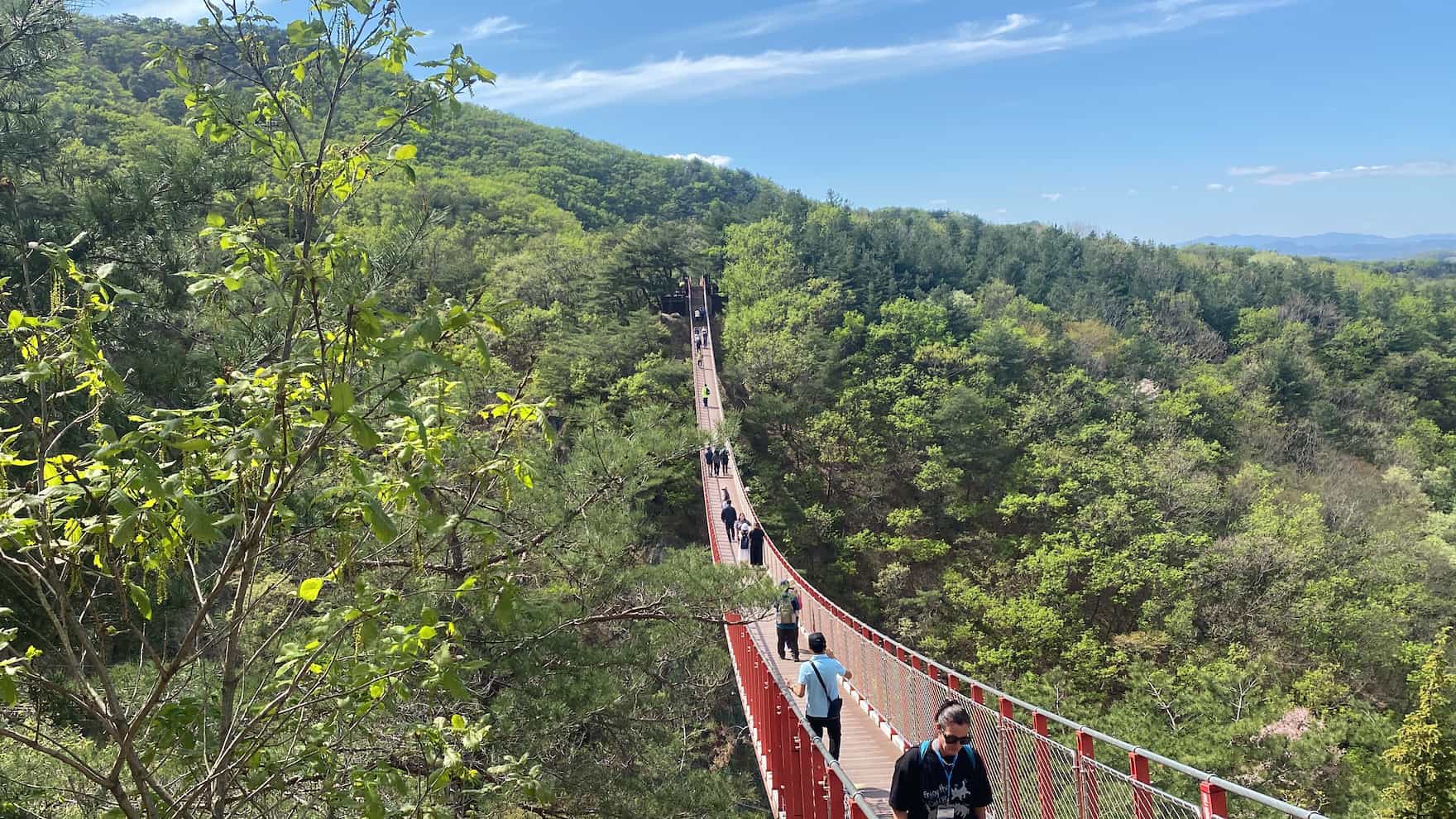 DMZ Tour with Red Suspension Bridge - Gallery