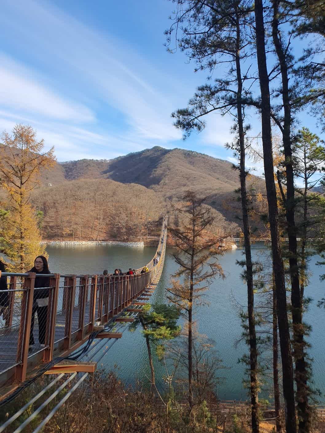 DMZ Tour with Majang Lake Suspension Bridge - Gallery